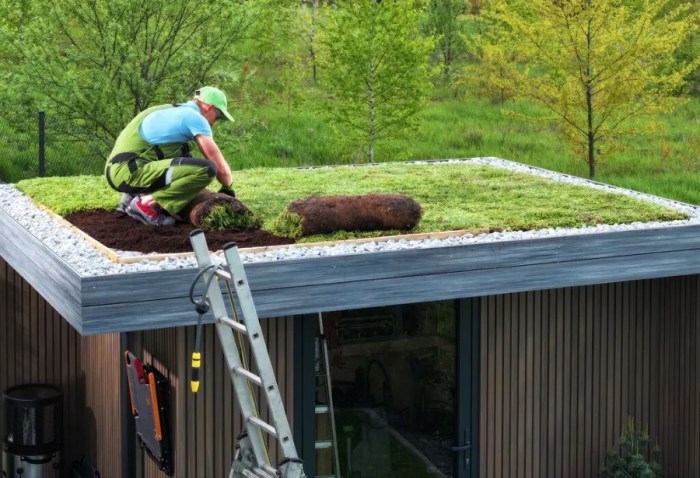 How to Choose the Right Green Roof Contractor | DIY Home Decor