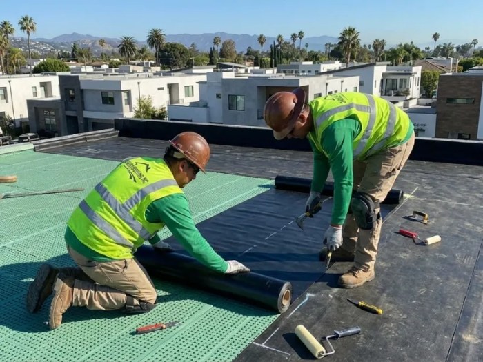 How Green Roofs Improve Urban Living in Los Angeles- Overhead Roofing ...