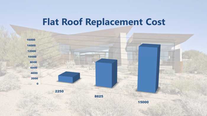 Complete Guide To Flat Roofs: Installation, Costs, Lifespan