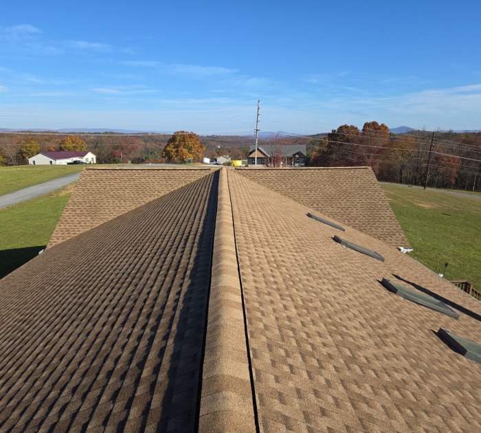 How Much Does It Cost to Repair a Roof Leak? [2026 Data] | Angi