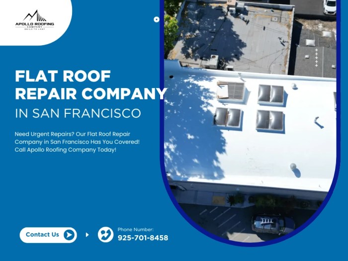 How Much Does It Cost to Replace a Flat Roof in California? - Apollo ...