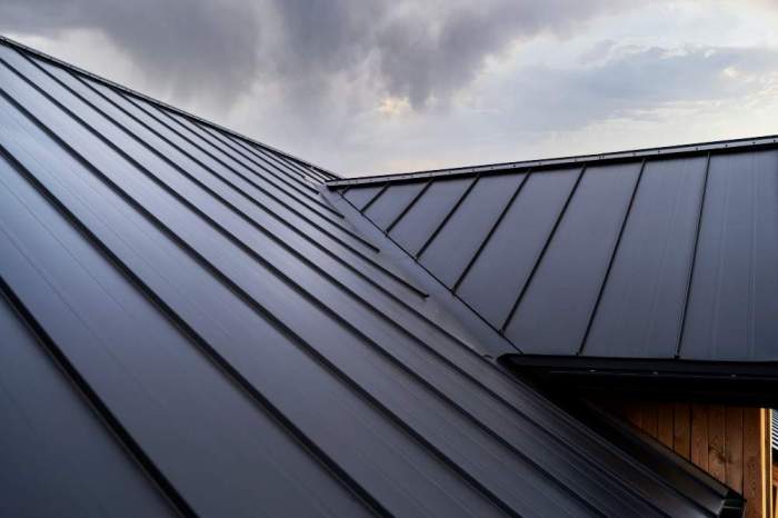 Professional Roof Consultation and Assessment For Your Home